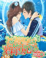 《好东西》首日票房2600万 贾樟柯《风流一代》150万